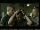 cap353.jpg