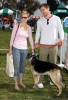Filename=003.jpg
Filesize=944KiB
Dimensions=1300x1900
Date added=Feb 26, 2006 003.jpg