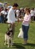 Filename=010.jpg
Filesize=1764KiB
Dimensions=1300x1803
Date added=Feb 26, 2006 010.jpg