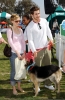 Filename=033.jpg
Filesize=1797KiB
Dimensions=1300x1973
Date added=Feb 26, 2006 033.jpg