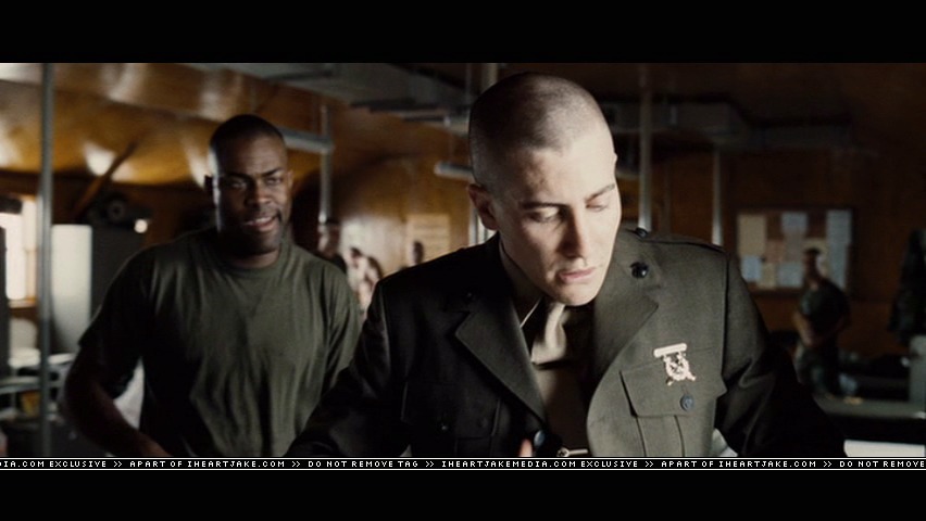 cap109.jpg