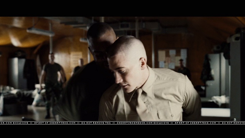 cap113.jpg