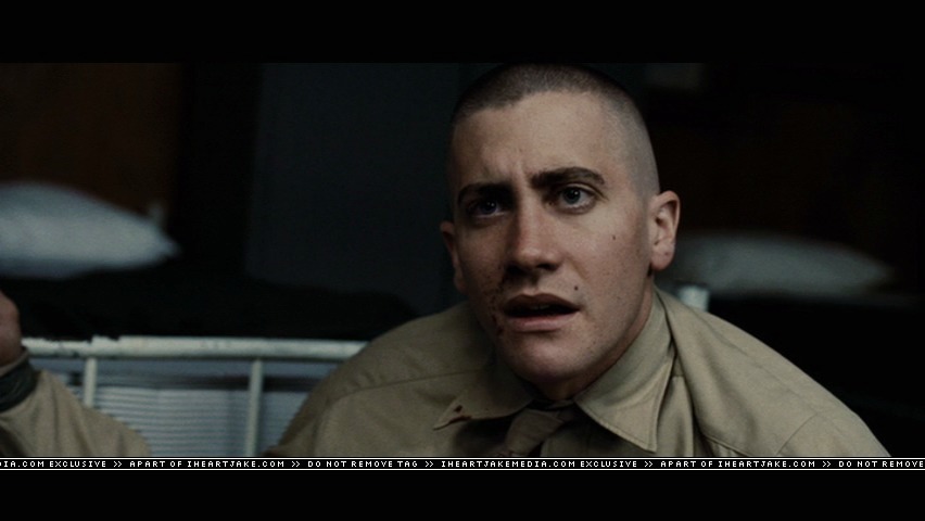 cap164.jpg