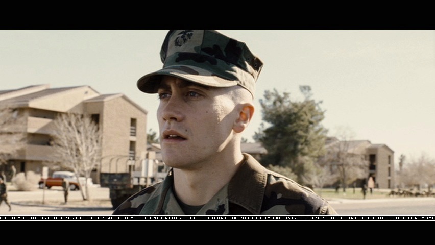 cap229.jpg