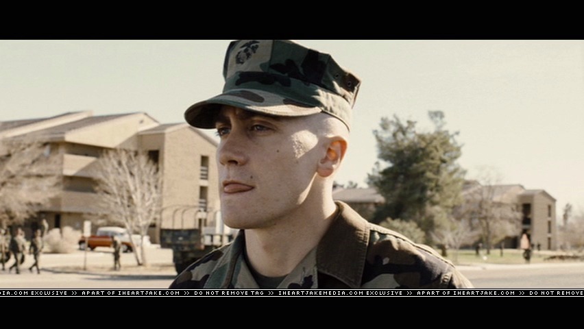 cap230.jpg