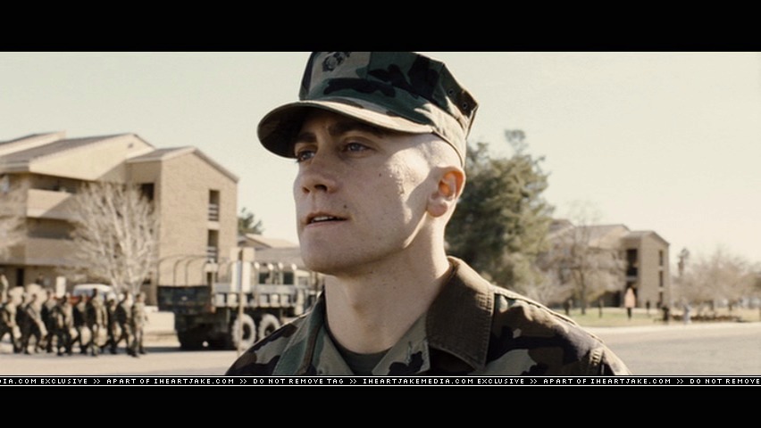 cap233.jpg
