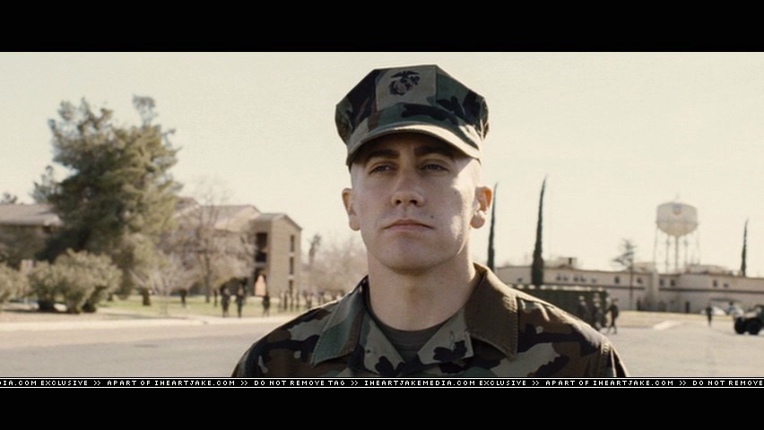 cap241.jpg