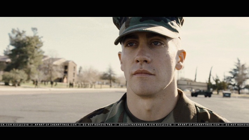 cap247.jpg