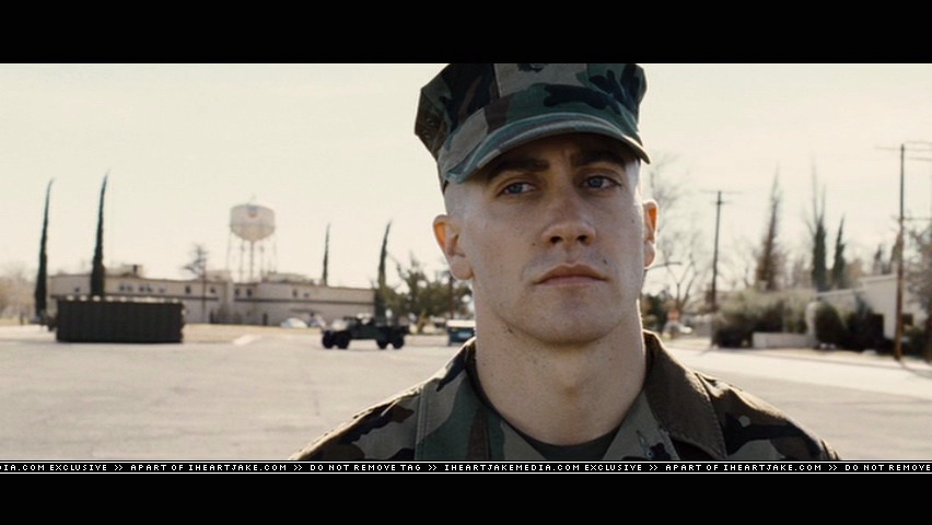 cap251.jpg