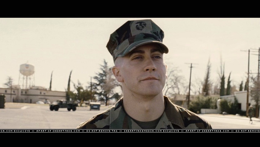 cap254.jpg
