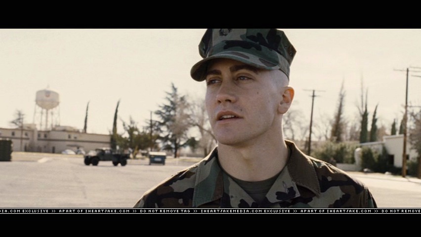 cap257.jpg