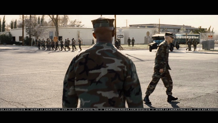 cap258.jpg