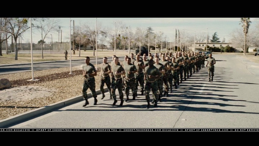 cap260.jpg