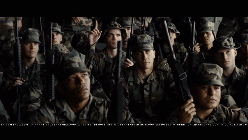 cap262.jpg