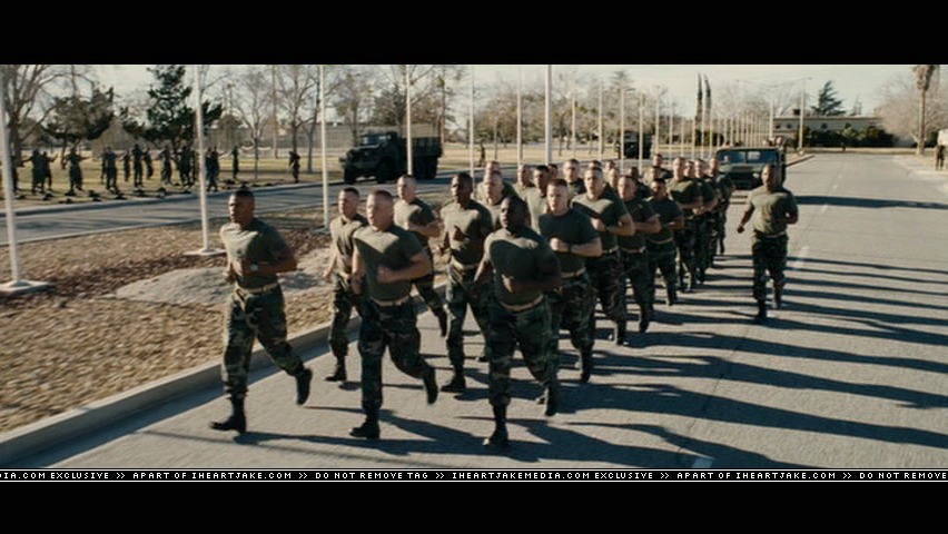 cap263.jpg