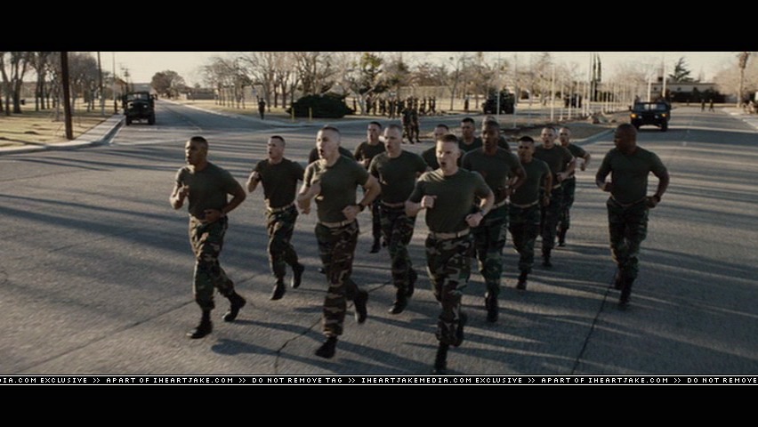 cap279.jpg