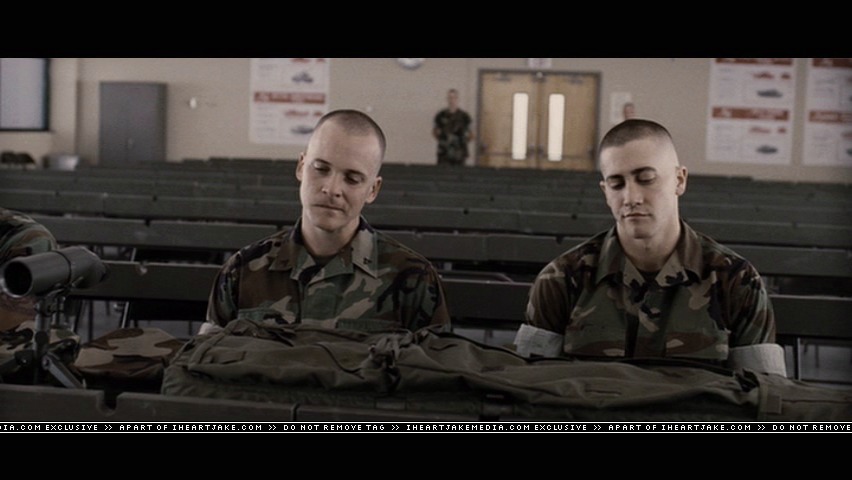 cap295.jpg