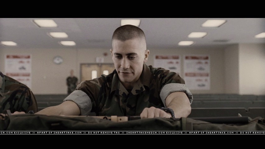 cap308.jpg
