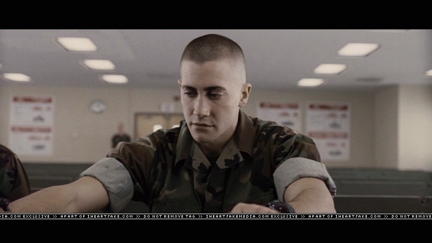 cap310.jpg