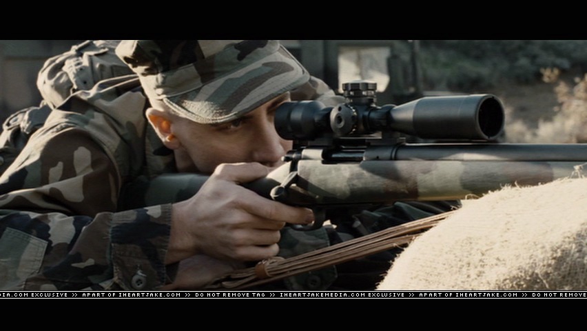 cap313.jpg
