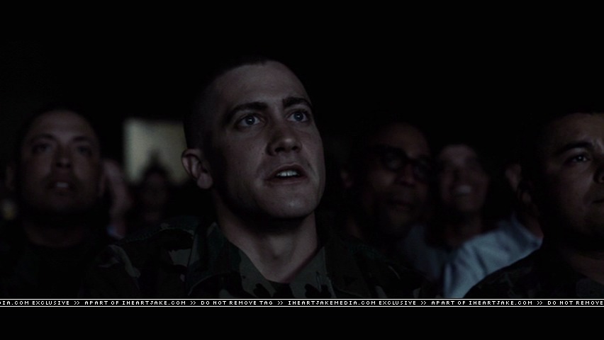 cap331.jpg