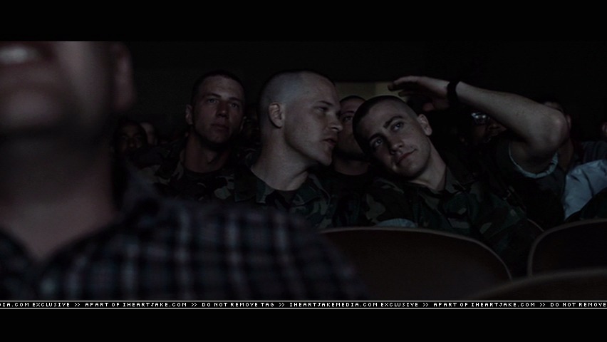 cap336.jpg