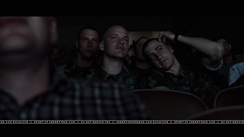 cap337.jpg