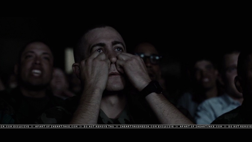 cap339.jpg