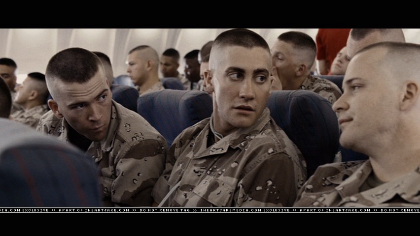 cap374.jpg