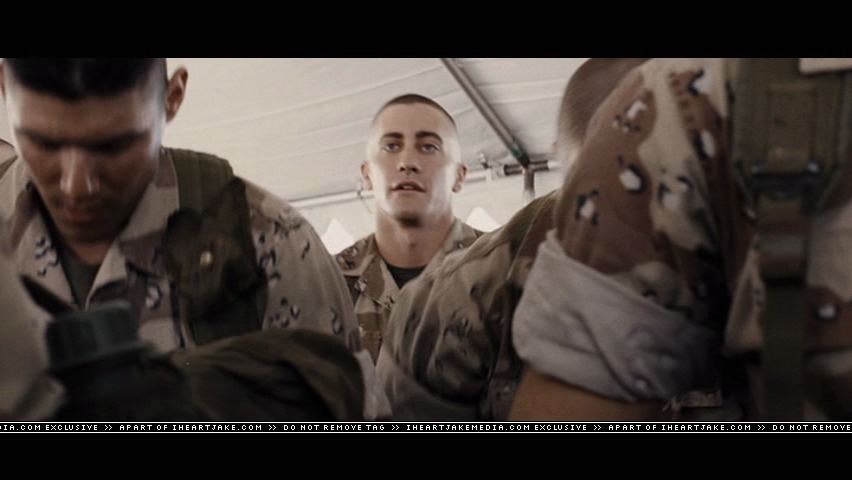 cap392.jpg