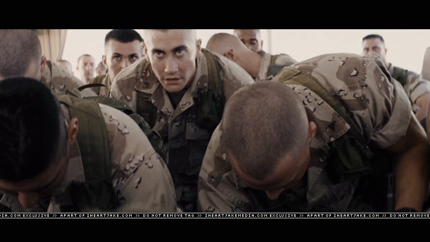 cap393.jpg