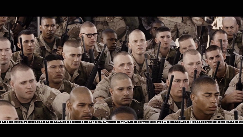 cap397.jpg