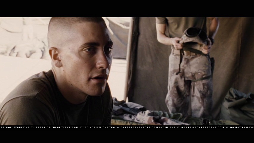 cap419.jpg