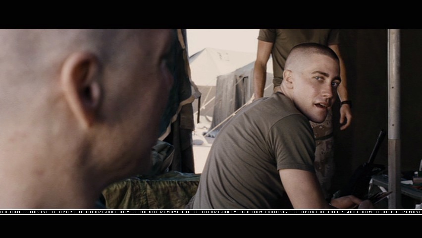 cap433.jpg