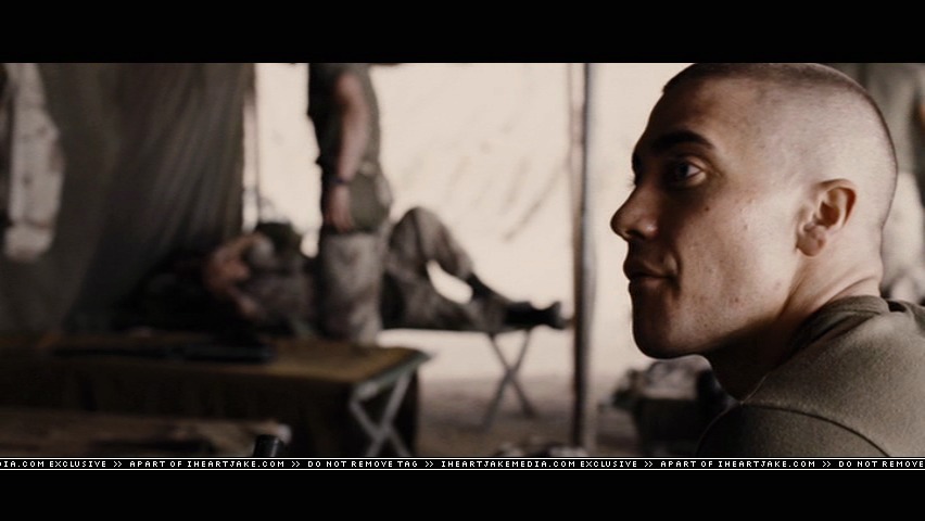 cap435.jpg
