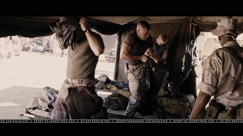 cap439.jpg
