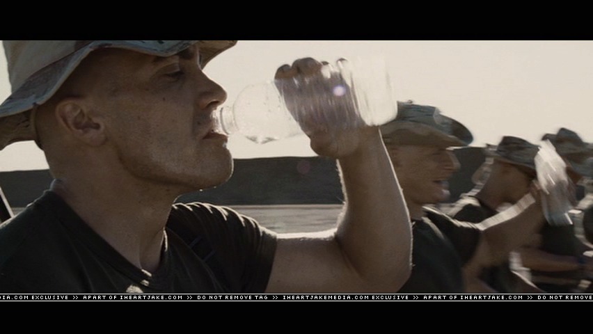 cap460.jpg