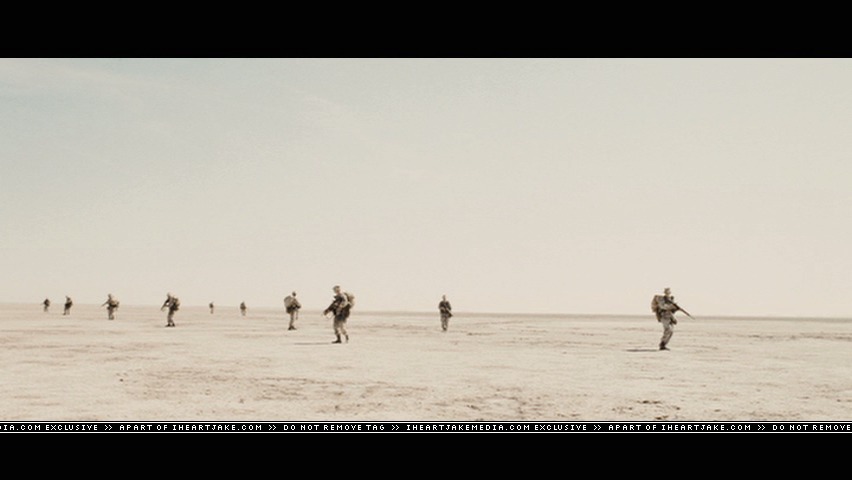 cap461.jpg