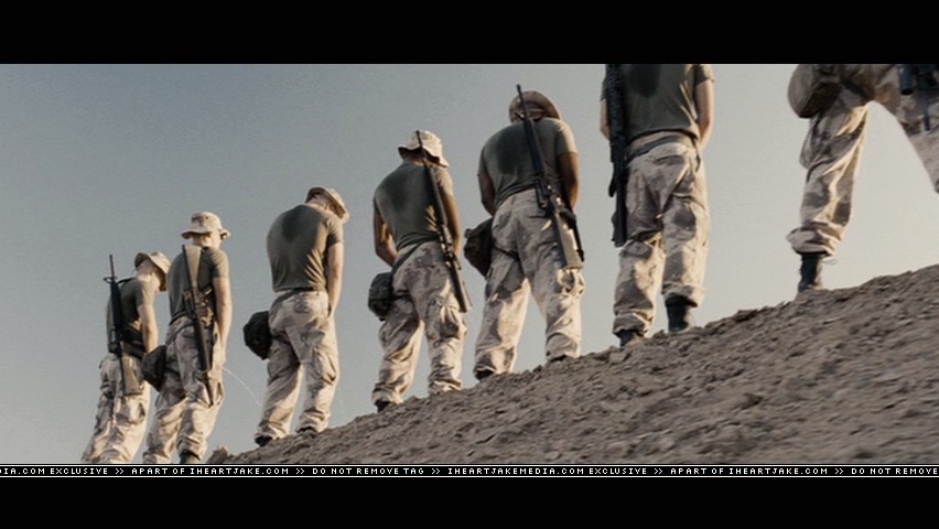 cap462.jpg
