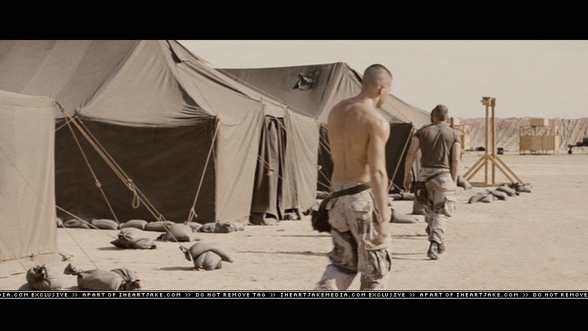 cap494.jpg