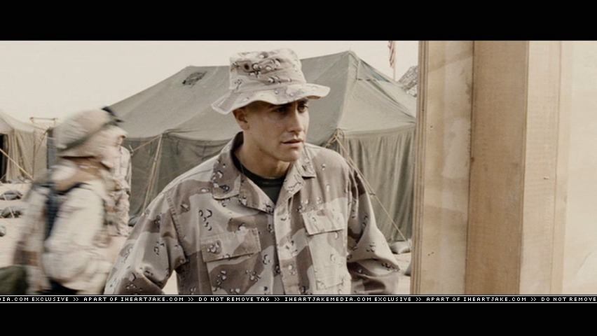 cap501.jpg