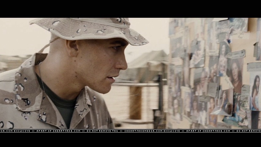 cap503.jpg