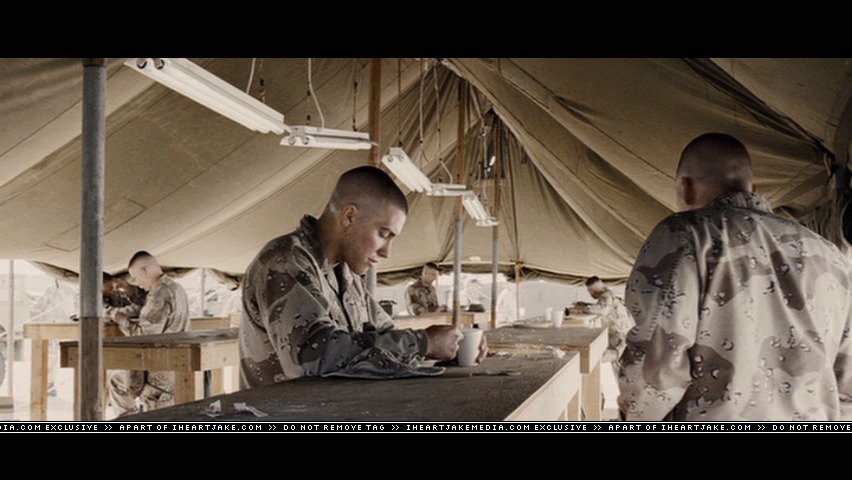 cap516.jpg