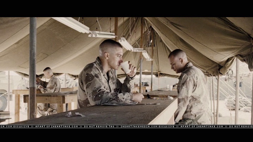 cap517.jpg
