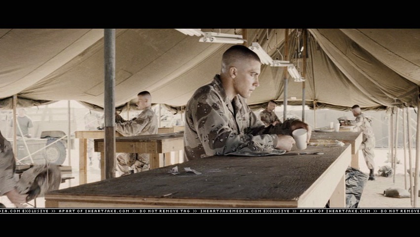 cap518.jpg
