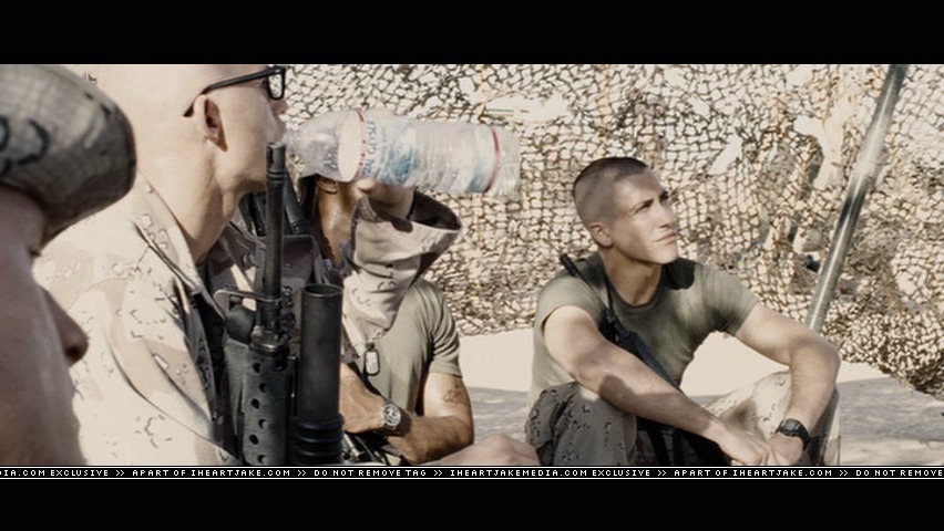 cap519.jpg