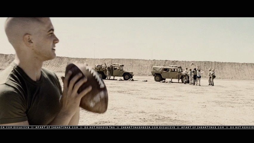 cap533.jpg