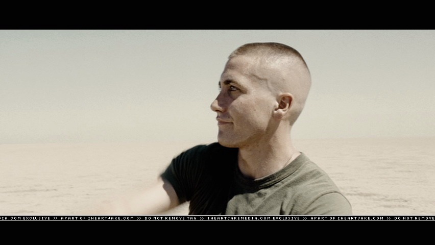 cap538.jpg