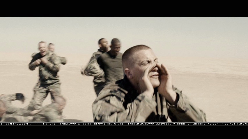 cap558.jpg
