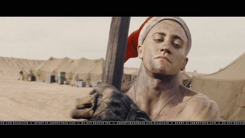 cap798.jpg